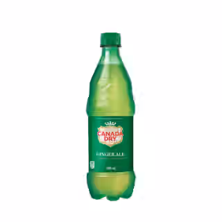 37 Canada Dry® Ginger Ale 500mL Bottle